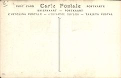 POSTAL Amboise de la VENDIMIA el castillo