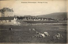 VINTAGE POSTCARD Picturesque Vernoux Long Pre Pasture