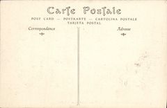 VINTAGE POSTCARD Castle De Chenonceaux