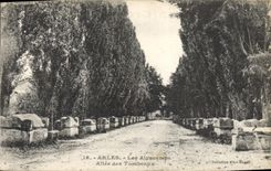 VINTAGE POSTCARD Arles Alyscamps Gone Of the Tombs