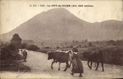 VINTAGE POSTCARD Puy De Dome Coach Cows