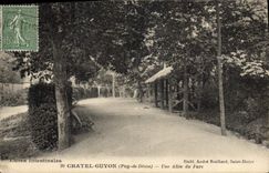 VINTAGE POSTCARD Chatel Guyon an Alley Of the Park