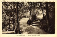 VINTAGE POSTCARD Chatelguyon Under Wood In the Park