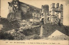 CPA Environs Du Mont Dore Les Ruines Du Chateau De Murois