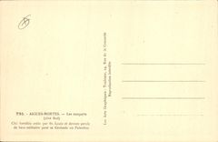 VINTAGE POSTCARD Acute Dead Walls