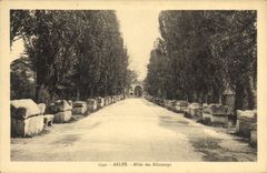 CPA Arles Allee Des Aliscamps