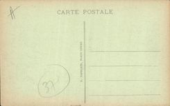 VINTAGE POSTCARD Tours View on the Loire the stone bridge the cathedral St Gatien