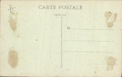 CPA Tours Cours du musee le cedre geant