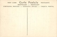 CPA Chateau de Chambord Les terrasses et les combles vue prise a vol d'oiseau