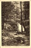 VINTAGE POSTCARD Gerardmer the cascade has Retournemer
