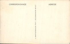 VINTAGE POSTCARD Vichy Park of Celestins