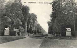 CPA Chantilly Route des Lions