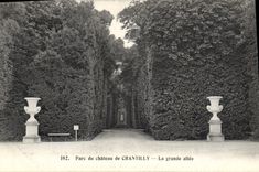 VINTAGE POSTCARD Park of the castle of Chantilly the large alley