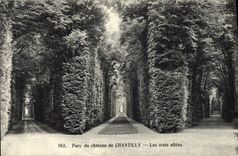 CPA Parc du chateau de Chantilly Les trois allees
