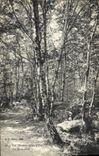 CPA La Pierre qui Vire Un sous Bois