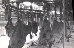 MODERN CARD postal Sorting office parks shunting of the bags