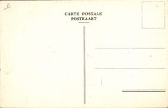 VINTAGE POSTCARD Flowers Belgium Soldier Militaria Albert 1st