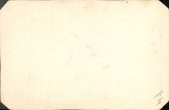 VINTAGE POSTCARD Stamps Bird