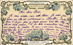 VINTAGE POSTCARD Parfurmerie Parfum Blue Hydrangea Pinaud Paris Places Vendome TOP