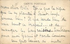 El kif del kif del almacén grande del Orientalism de la POSTAL de la VENDIMIA apuesta