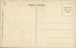 Orientalism de la POSTAL de la VENDIMIA la mula del asno del tacto