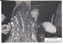 MODERN CARD the lines Detail of a division