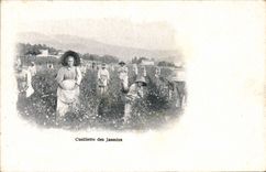 VINTAGE POSTCARD Gathering of the Jasmines Perfume