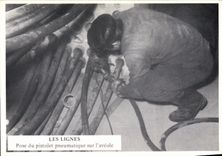 POSTAL MODERNA las líneas presentan la escopeta de aire comprimido en el aveole