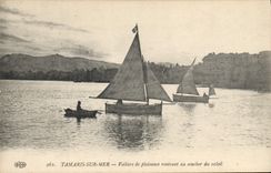 CPA Bateau de peche Tamaris sur Mer Voiliers de plaisance rentrant au coucher de soleil