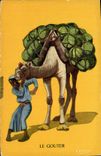 VINTAGE POSTCARD North Africa Fantasy Illustrator to taste It Camel