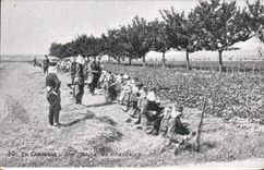 CPA Militaria En campagne Une chaine de tirailleurs