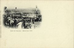 VINTAGE POSTCARD Militaria Camp of Trawl-nets Ravelled in 1896 Horses Horse