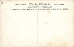 VINTAGE POSTCARD Fun fair Luna Park Scenic Railway Massive of Pikes Peak Descent of the large slope to leaving the collar