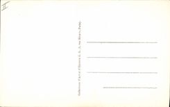 VINTAGE POSTCARD History Napoleon 1st Augereau Beauharnais Baraguay Belliard