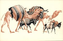 VINTAGE POSTCARD North Africa Fantasy Illustrator Algeria To the slow step of the caravans Camel