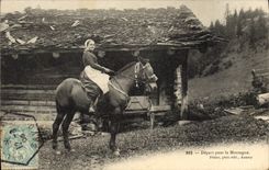 VINTAGE POSTCARD Folklore Savoy Departure for the mountain Horse TOP