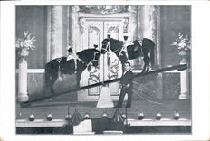 VINTAGE POSTCARD Dwarf Ponies