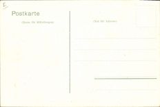 VINTAGE POSTCARD Dwarf Ponies