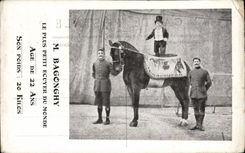 VINTAGE POSTCARD Dwarf Mr. Bagonghy the smallest rider of the world pony