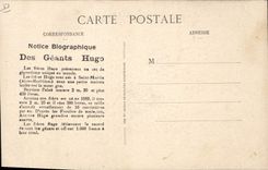 VINTAGE POSTCARD Giant Dwarf the Hugo brothers