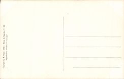 VINTAGE POSTCARD Napoleon 1st has co. Helene the dream