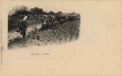 VINTAGE POSTCARD Militaria Fantasy a downtime