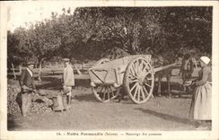 VINTAGE POSTCARD Folklore Normandy Measuring of apples