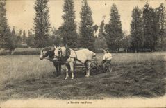 CPA Folklore Normandie La recollte des foins cheval 