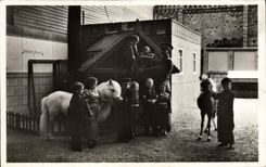 VINTAGE POSTCARD Dwarf Dwarves International exhibition Paris 1937 Esplanade of the Invalids Pony