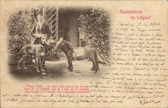 CPA Nain Nains Liliput Prince Asha Poney