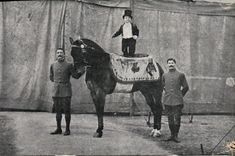 VINTAGE POSTCARD Dwarf Dwarves Horse Circus