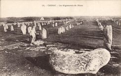 CPA Dolmen Menhir Carnac Les alignements du Menec 