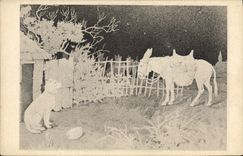 VINTAGE POSTCARD Fantasy Illustrator Ass Mule Dog