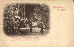 CPA Nain Nains Liliput Poney Cheval Chien 